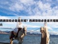 西藏旅拍必备连衣裙？西藏旅拍必备连衣裙图片