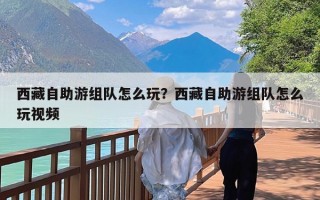 西藏自助游组队怎么玩？西藏自助游组队怎么玩视频