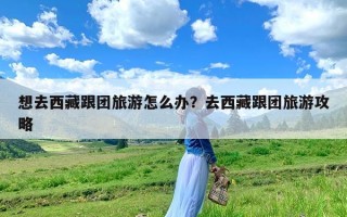 想去西藏跟团旅游怎么办？去西藏跟团旅游攻略