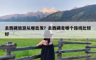 去西藏旅游从哪出发？去西藏走哪个路线比较好