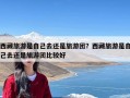 西藏旅游是自己去还是旅游团？西藏旅游是自己去还是旅游团比较好