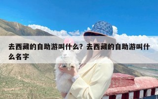 去西藏的自助游叫什么？去西藏的自助游叫什么名字