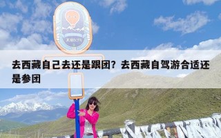 去西藏自己去还是跟团？去西藏自驾游合适还是参团