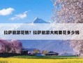 拉萨旅游花销？拉萨旅游大概要花多少钱