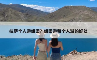 拉萨个人游组团？组团游和个人游的好处