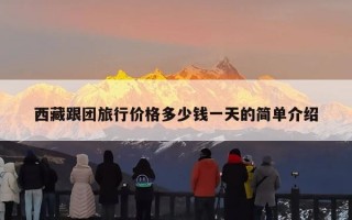 西藏跟团旅行价格多少钱一天的简单介绍
