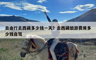 自由行去西藏多少钱一天？去西藏旅游费用多少钱自驾