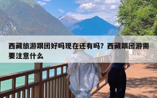 西藏旅游跟团好吗现在还有吗？西藏跟团游需要注意什么