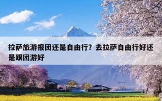 拉萨旅游报团还是自由行？去拉萨自由行好还是跟团游好