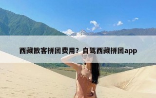 西藏散客拼团费用？自驾西藏拼团app